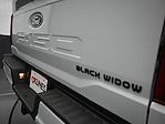 2024 Ford F-150 SuperCrew Cab 4x4 Pickup for sale #01T3099 - photo 13
