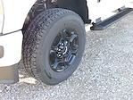 2024 Ford F-350 Regular Cab SRW 4x4 Pickup for sale #01T3704 - photo 9