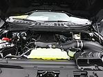 New 2025 Ford F-150 XL Regular Cab for sale #01T3758 - photo 5