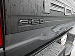 2025 Ford F-150 SuperCrew Cab 4x4 Pickup for sale #01T3763 - photo 20