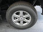2025 Ford F-150 SuperCrew Cab 4x4 Pickup for sale #01T3805 - photo 8