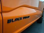 2025 Ford F-150 Regular Cab 4x4 Pickup for sale #01T3806 - photo 17