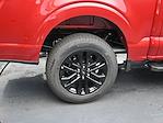 New 2025 Ford F-150 XLT SuperCrew Cab 4x4 Pickup for sale #01T3974 - photo 7