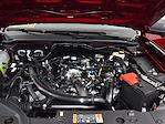 New 2025 Ford Ranger XLT SuperCrew Cab 4x4 Pickup for sale #01T4014 - photo 10
