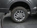 2024 Ford F-150 SuperCrew Cab 4x4 Pickup for sale #01T4061 - photo 10