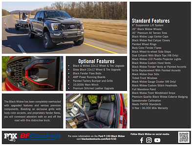 New 2025 Ford F-150 - photo 1