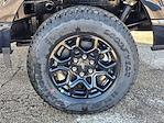 New 2026 Ford F-150 XLT SuperCrew Cab for sale #A15684 - photo 14