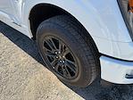 New 2025 Ford F-150 Platinum SuperCrew Cab for sale #B05188 - photo 16