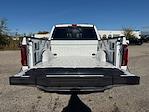 New 2025 Ford F-150 Platinum SuperCrew Cab for sale #B05188 - photo 29