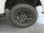 2024 Ford F-150 SuperCrew Cab 4x4 Pickup for sale #05X1383A - photo 3