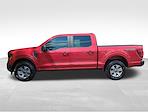 2024 Ford F-150 SuperCrew Cab 4WD Pickup for sale #H24F1627A - photo 5
