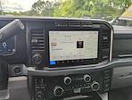 2024 Ford F-250 Crew Cab 4x4 Pickup for sale #H24SD784A - photo 13