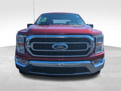 2021 Ford F-150 SuperCrew Cab 4x2 Pickup for sale #H25BS002A - photo 2