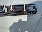 2020 Ford F-150 SuperCrew Cab 4x4 Pickup for sale #H25F1187A - photo 22
