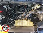 2022 Ford F-150 Regular Cab RWD Pickup for sale #H25F1336A - photo 28
