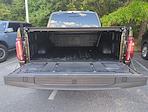 2024 Ford F-150 SuperCrew Cab 4x4 Pickup for sale #H25NV005A - photo 22