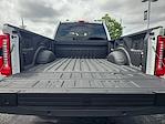 2024 Ford F-350 Crew Cab SRW 4x4 Pickup for sale #H25SD091A - photo 22