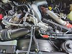 2024 Ford F-450 Crew Cab DRW 4x4 Pickup for sale #H25SD137A - photo 24