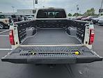 2016 Ford F-250 Crew Cab 4x4 Pickup for sale #H25SD151B - photo 21
