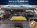 2019 Ford F-150 Regular Cab RWD Pickup for sale #H26F1069A - photo 25