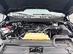 2023 Ford F-150 SuperCrew Cab 4WD Pickup for sale #M25F1160A - photo 22