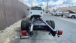 New 2023 Chevrolet Silverado 6500 Crew Cab Cab Chassis for sale #D312117 - photo 5