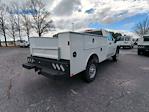 2025 Chevrolet Silverado 2500 Regular Cab 4WD CM Truck Beds Service Truck for sale #225M1310 - photo 4