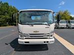 2025 Chevrolet LCF 5500HG Regular Cab RWD Cab Chassis for sale #425L19 - photo 8