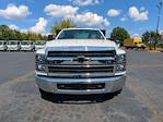2024 Chevrolet Silverado 5500 Regular Cab DRW RWD Conyers Flatbed Truck for sale #624M1043 - photo 8