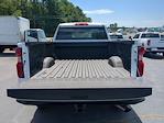 2024 Chevrolet Silverado 2500 Regular Cab SRW RWD Pickup for sale #824M1166 - photo 12