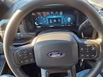 2025 Ford F-150 SuperCrew Cab 4WD Pickup for sale #68077 - photo 10
