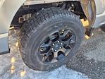 2025 Ford F-150 SuperCrew Cab 4WD Pickup for sale #68077 - photo 9