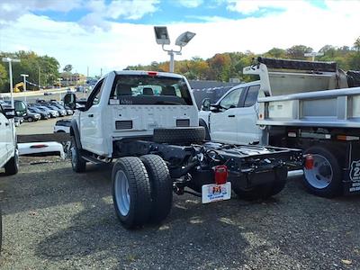 2025 Ford F-550 Regular Cab DRW 4WD Cab Chassis for sale #68383F - photo 2