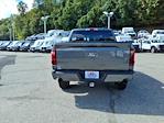 2025 Ford F-150 SuperCrew Cab 4WD Pickup for sale #68588 - photo 5
