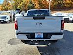 2025 Ford F-150 SuperCrew Cab 4WD Pickup for sale #68701 - photo 8