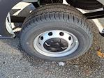 New 2026 Ford Transit 250 Medium Roof Empty Cargo Van for sale #68719 - photo 7