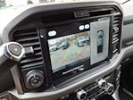 New 2025 Ford F-150 XLT SuperCrew Cab for sale #68763 - photo 5