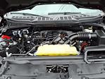 2024 Ford F-150 SuperCrew Cab 4WD Pickup for sale #P10893 - photo 22