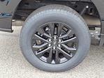 2024 Ford F-150 SuperCrew Cab 4WD Pickup for sale #P10893 - photo 6