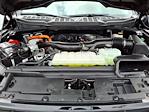 2024 Ford F-150 SuperCrew Cab 4WD Pickup for sale #P10897 - photo 24