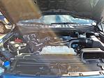 2022 Ford F-150 Super Cab 4WD Pickup for sale #P10934 - photo 17