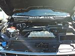 2022 Ford F-150 SuperCrew Cab 4WD Pickup for sale #P10935 - photo 21