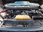 2023 Ford F-150 SuperCrew Cab 4WD Pickup for sale #P10943 - photo 20