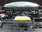 2022 Ford F-150 SuperCrew Cab 4WD Pickup for sale #P10957 - photo 18