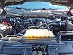 2022 Ford F-150 SuperCrew Cab 4WD Pickup for sale #P10991 - photo 18