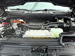 2022 Ford F-150 SuperCrew Cab 4WD Pickup for sale #P10996 - photo 19