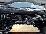 2023 Ford F-150 SuperCrew Cab 4WD Pickup for sale #P11003 - photo 17