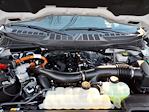 2024 Ford F-150 SuperCrew Cab 4WD Pickup for sale #P11007 - photo 17