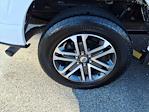 Used 2023 Ford F-150 XL SuperCrew Cab for sale #P11008 - photo 4