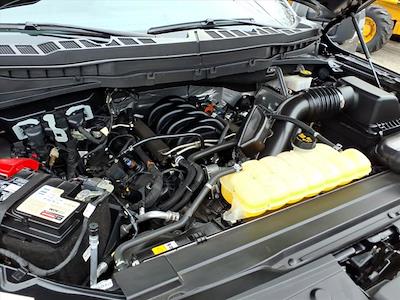 Used 2023 Ford F-150 - photo 1